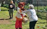 IMG_20240518_110839