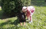 изображение_viber_2026-06-03_11-25-42-807