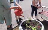 изображение_viber_2026-06-10_12-58-31-546